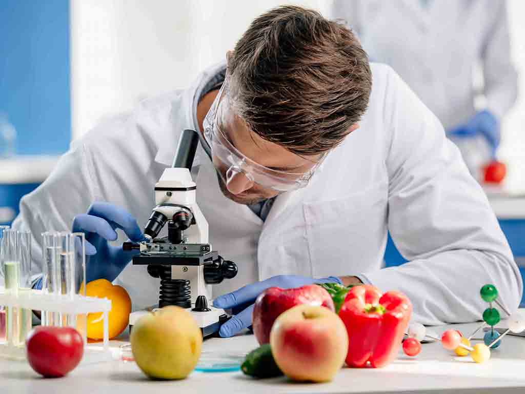 Día Internacional de Oposición a los Alimentos Transgénicos